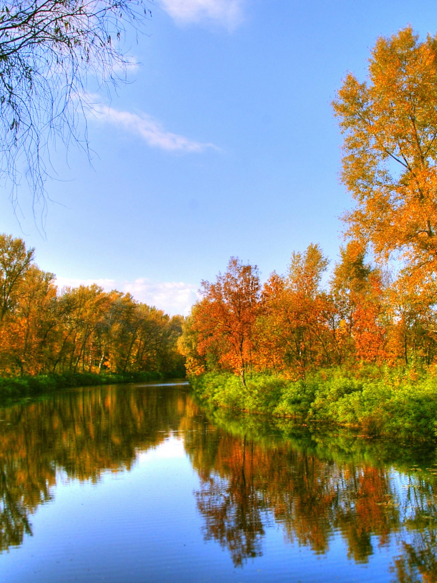 Autumn Color And River