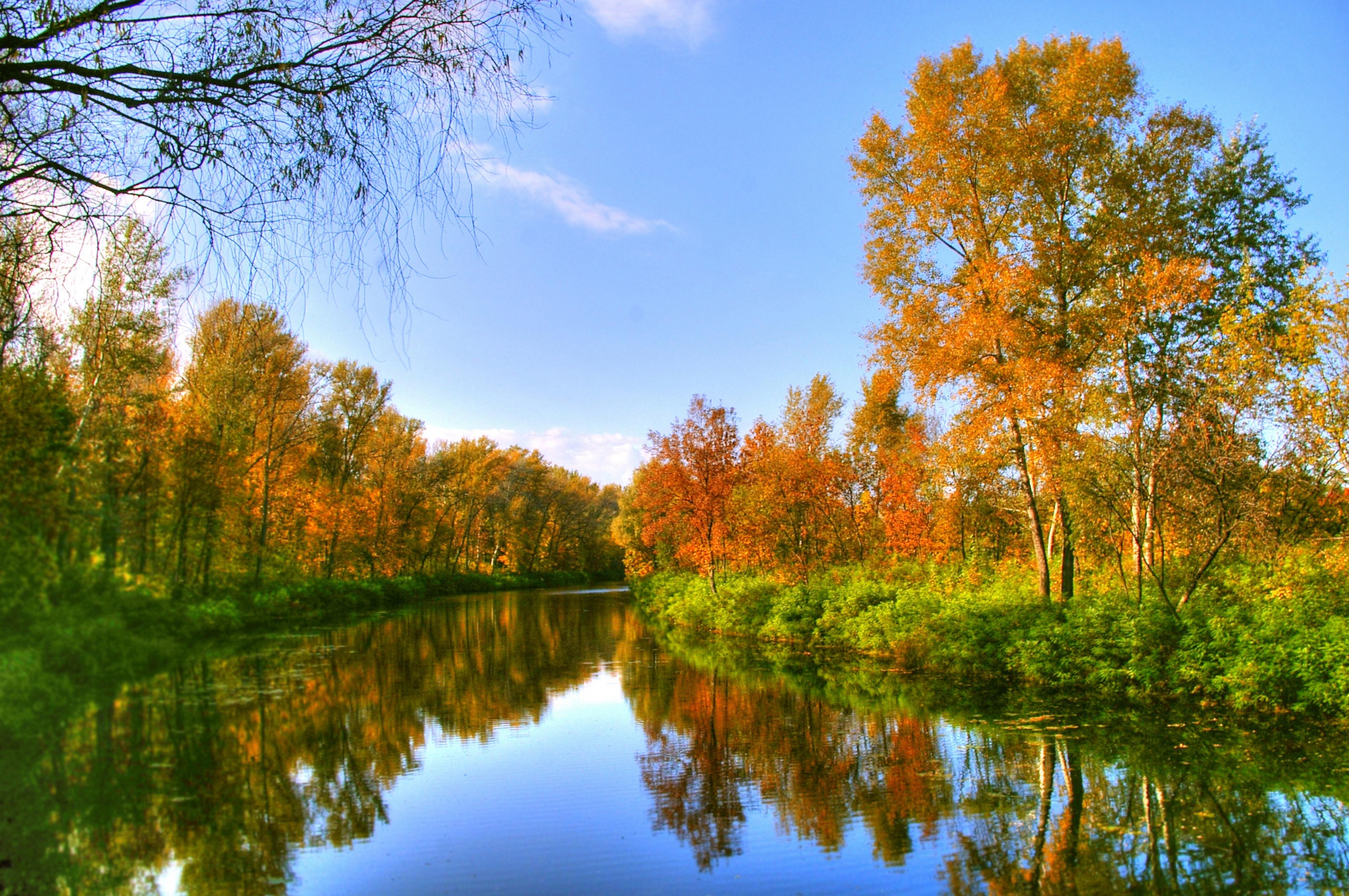 Autumn Color And River