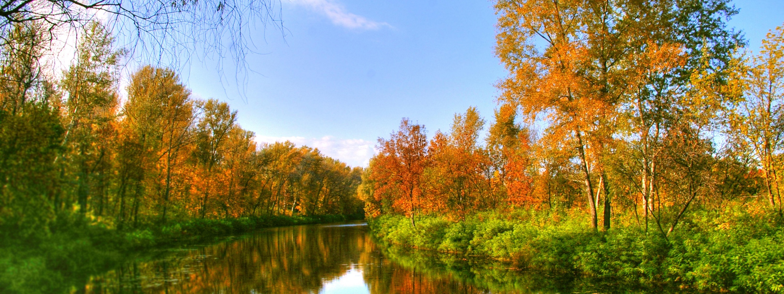 Autumn Color And River