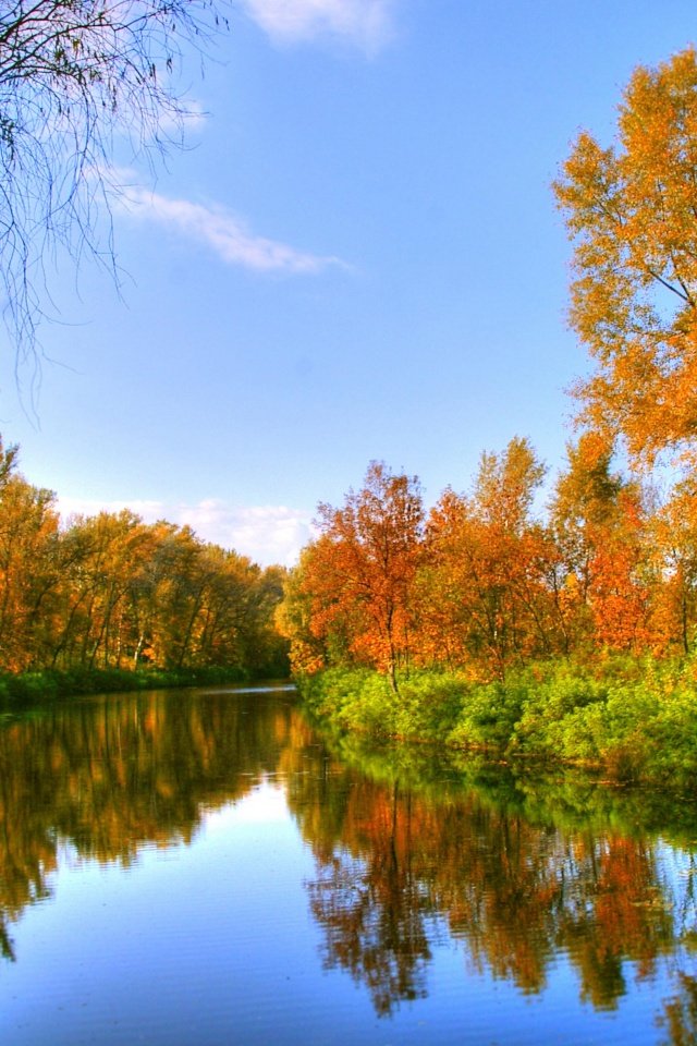 Autumn Color And River