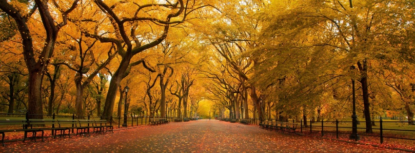 Autumn Colors In Central Park