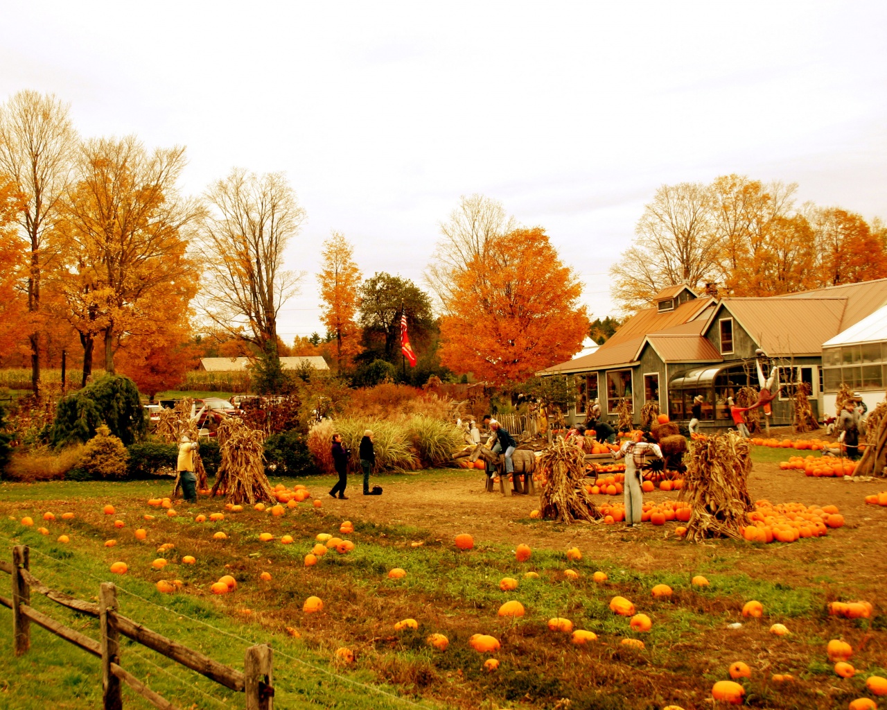 Autumn Pumpkin Festival