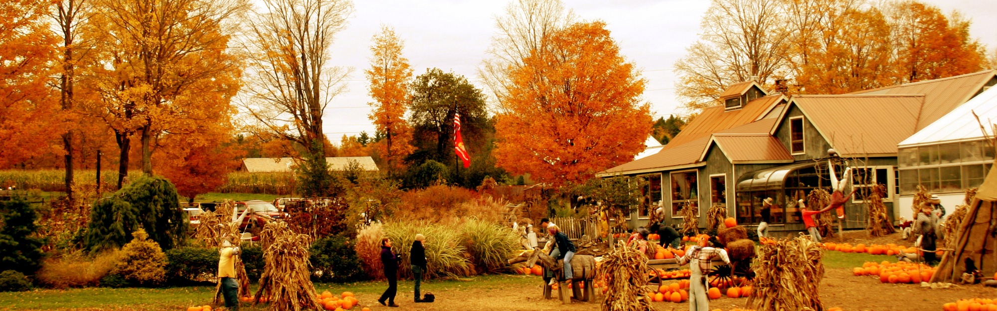 Autumn Pumpkin Festival