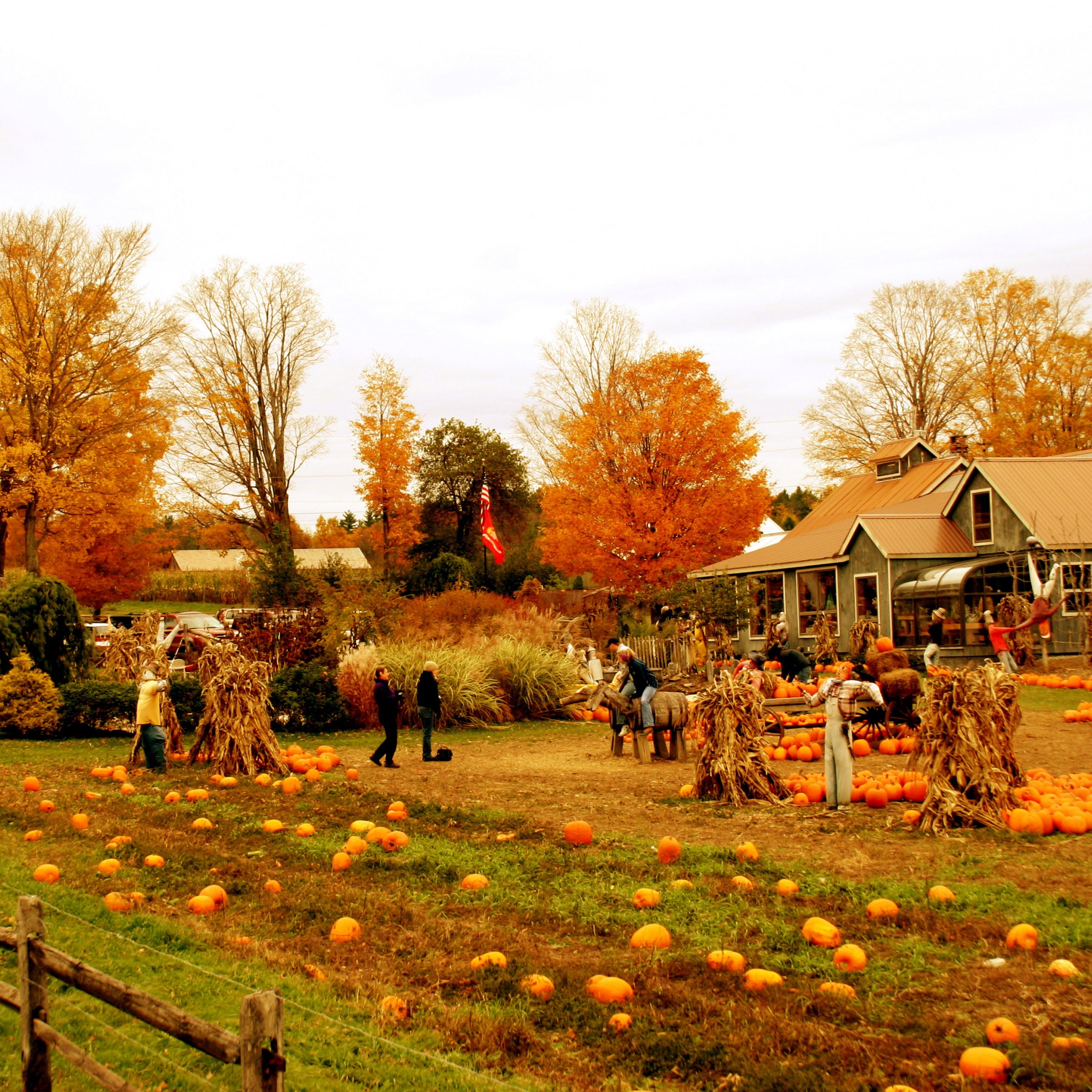 Autumn Pumpkin Festival