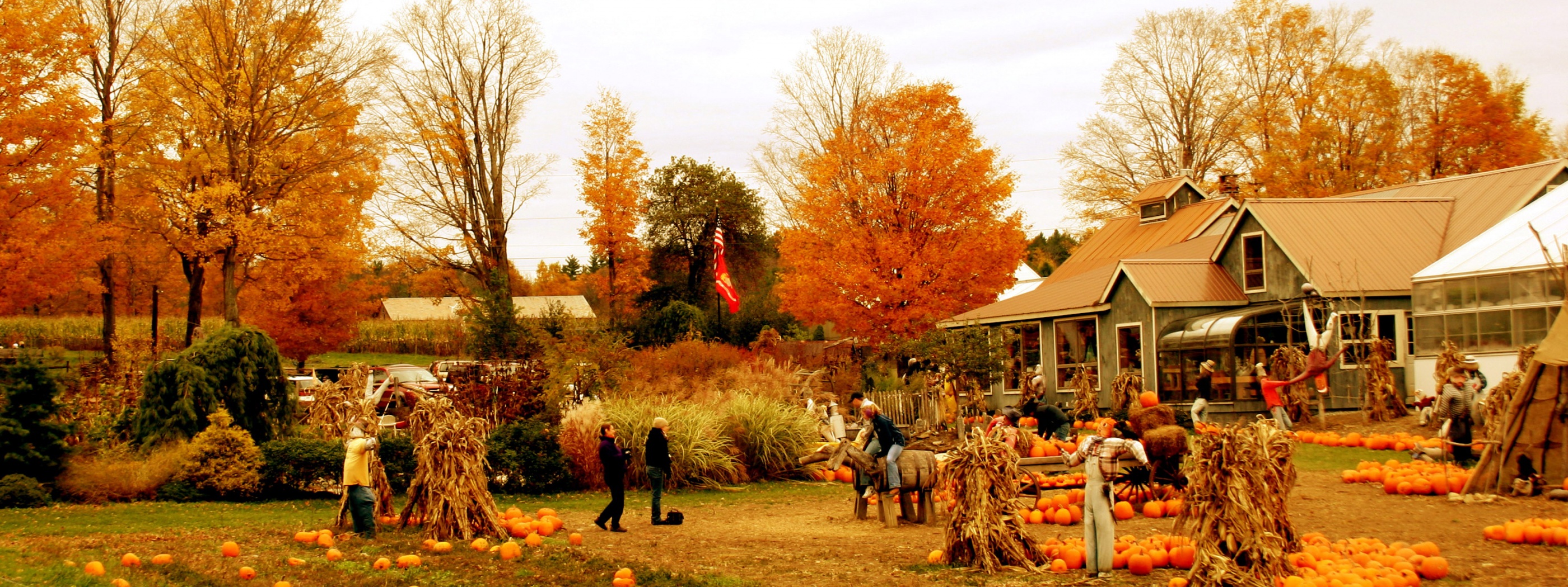 Autumn Pumpkin Festival