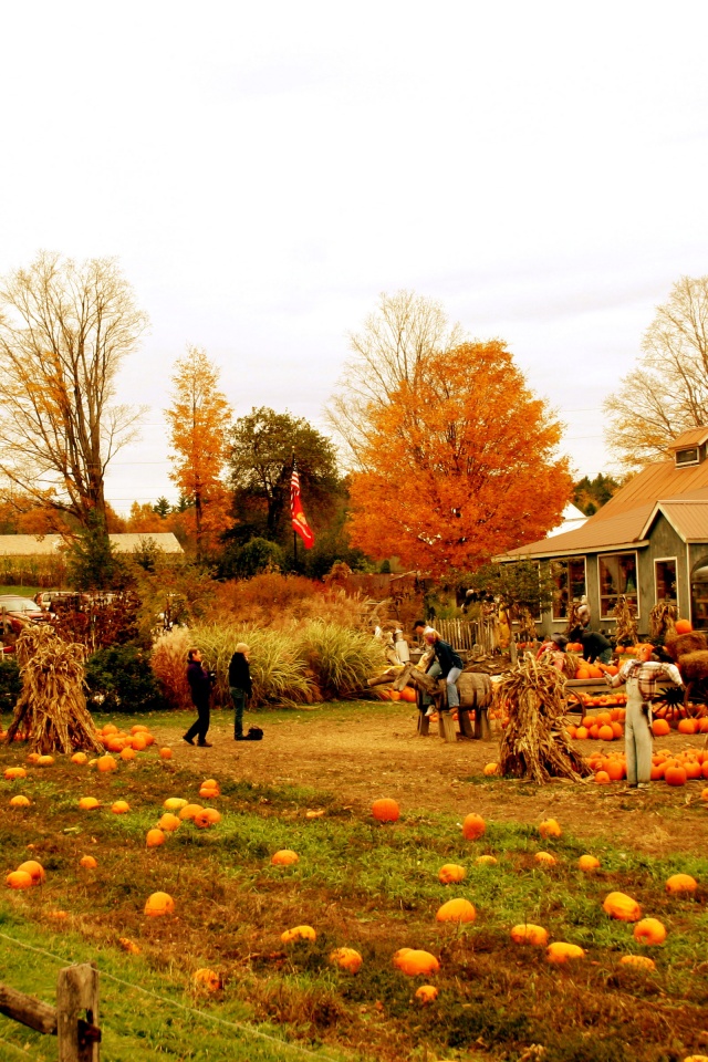 Autumn Pumpkin Festival