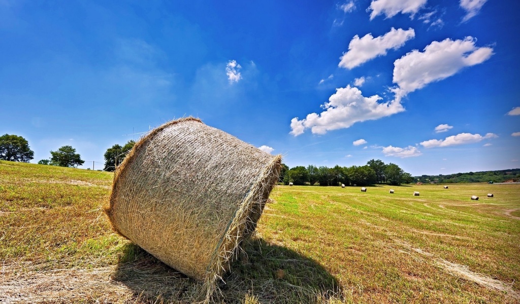 Bales Hay Nature Landscapes