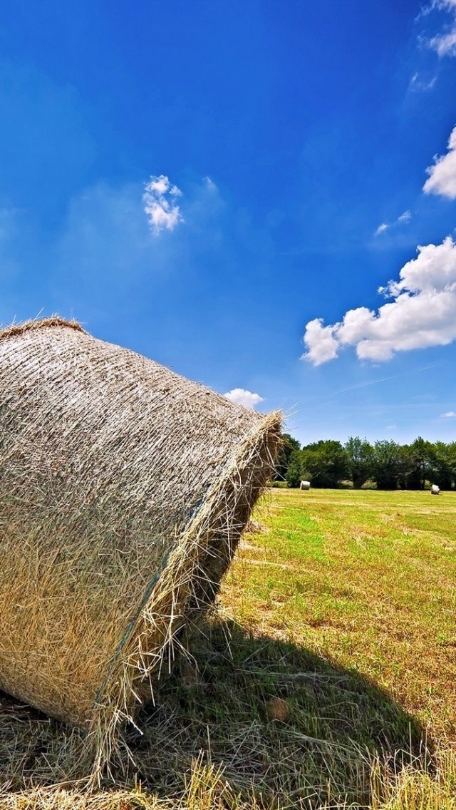 Bales Hay Nature Landscapes