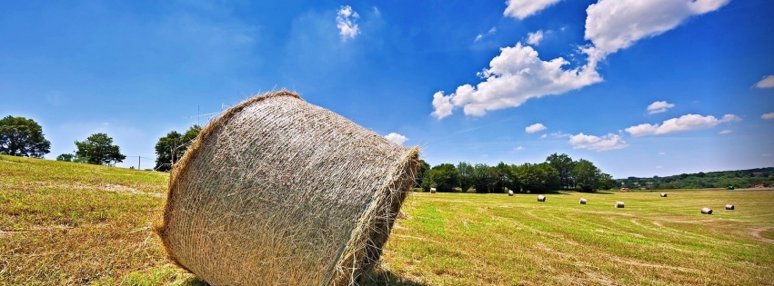 Bales Hay Nature Landscapes