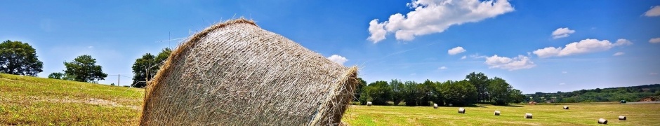 Bales Hay Nature Landscapes