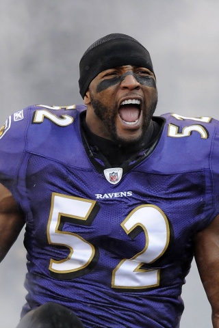 Baltimore Ravens American Football Team Ray Lewis