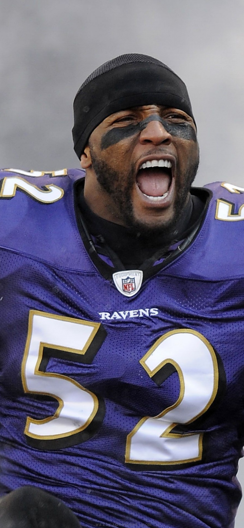 Baltimore Ravens American Football Team Ray Lewis