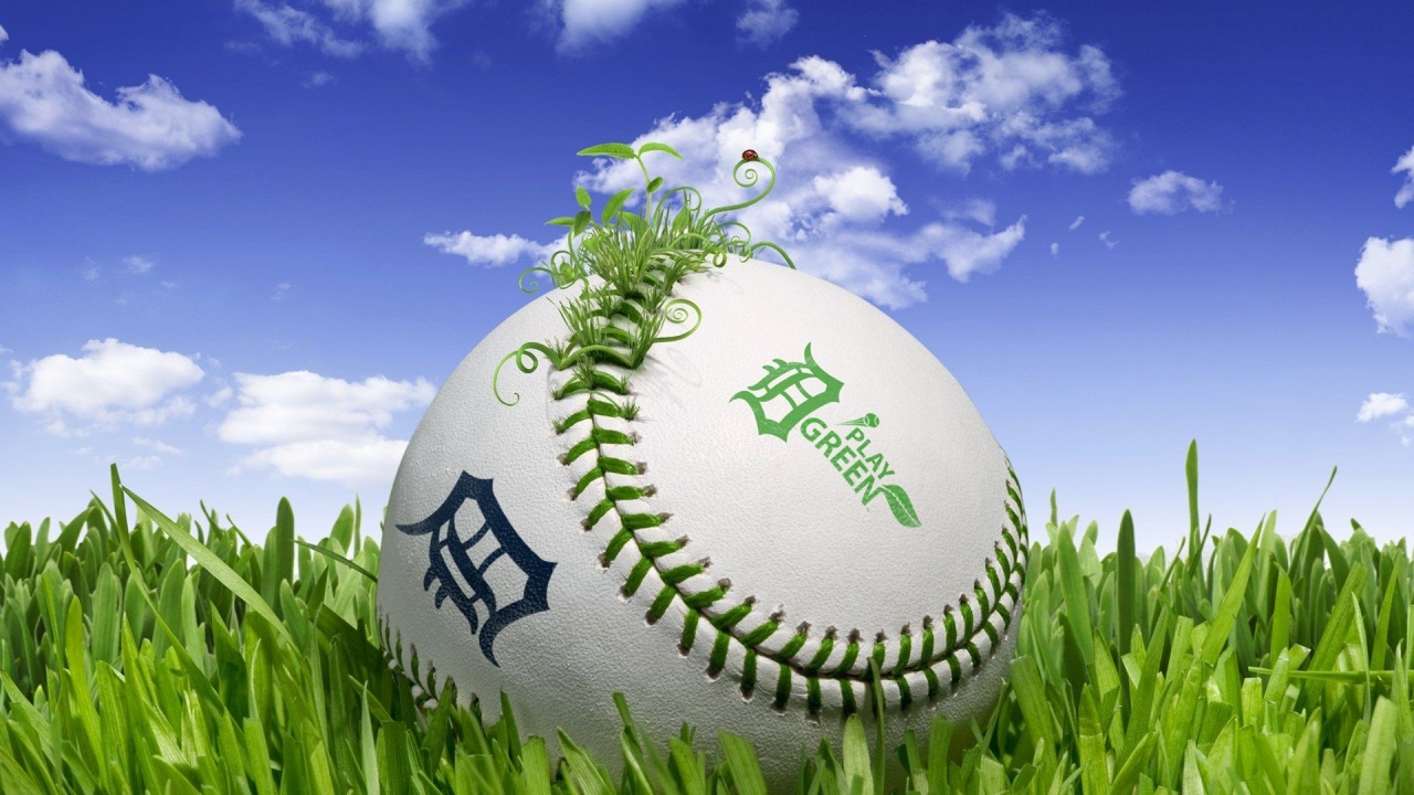 Baseball 3D Play Green Sports