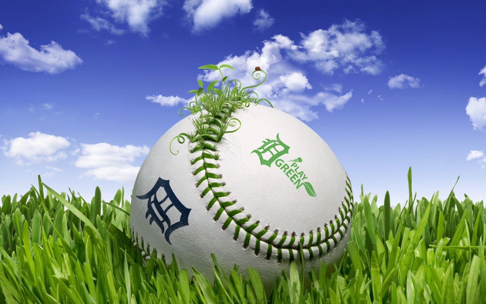 Baseball 3D Play Green Sports