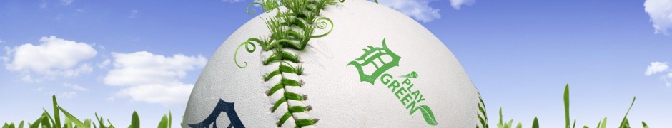 Baseball 3D Play Green Sports