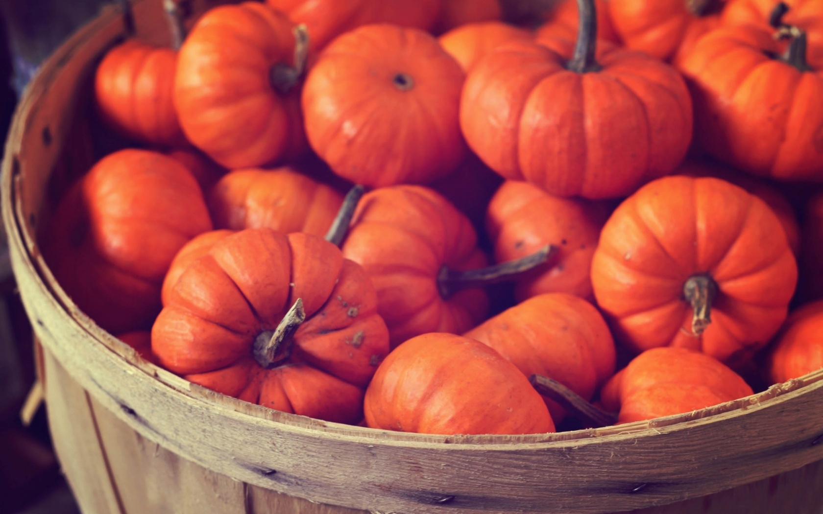 Basket Full Of Pumpkins