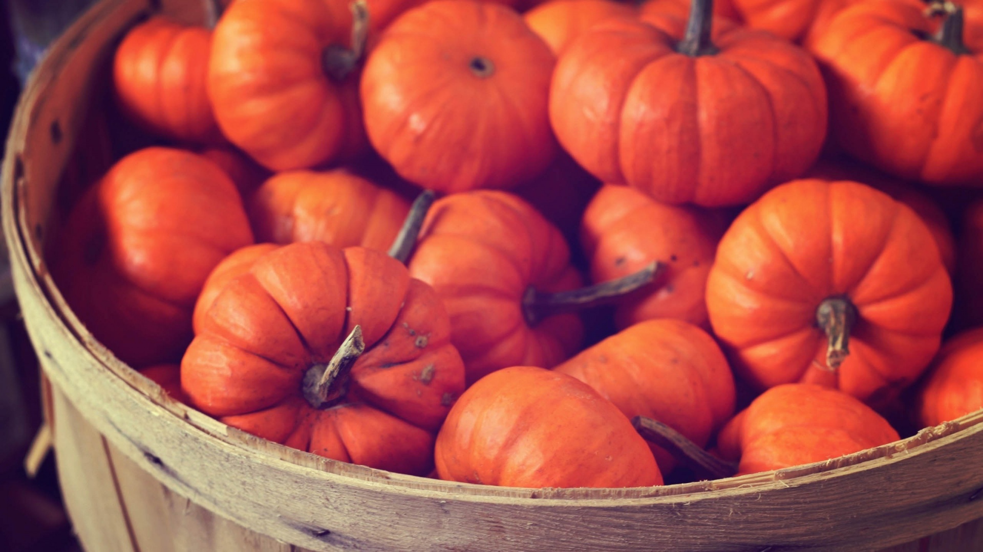 Basket Full Of Pumpkins