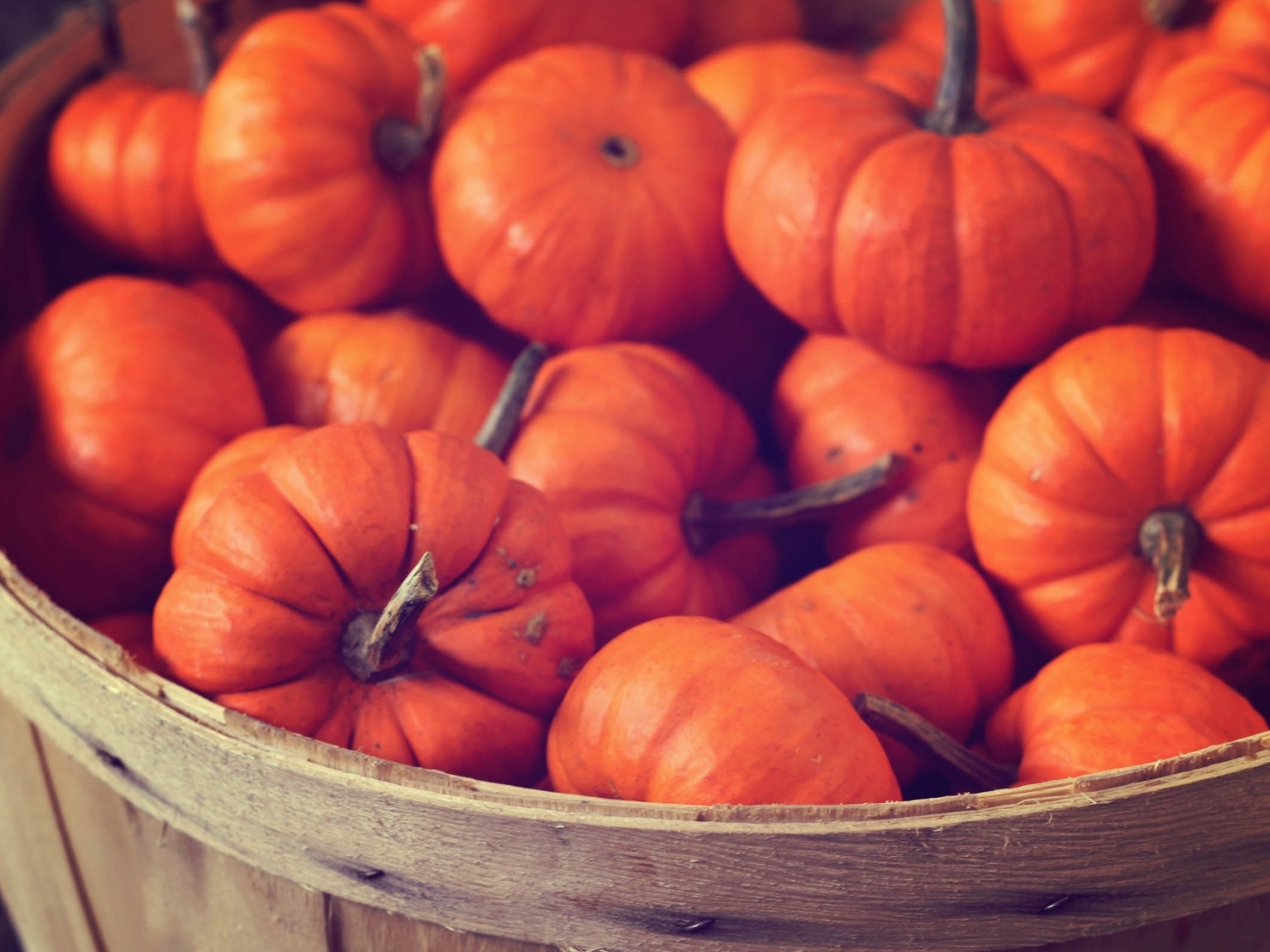 Basket Full Of Pumpkins