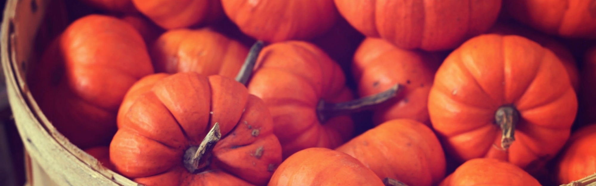 Basket Full Of Pumpkins