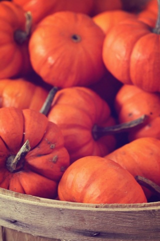 Basket Full Of Pumpkins