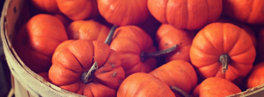 Basket Full Of Pumpkins