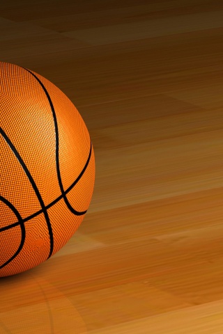 Basketball Ball