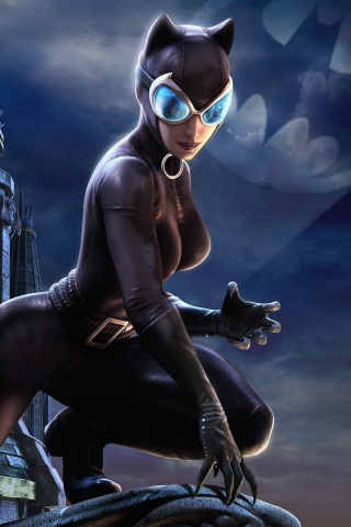 Batman Arkham City Catwoman