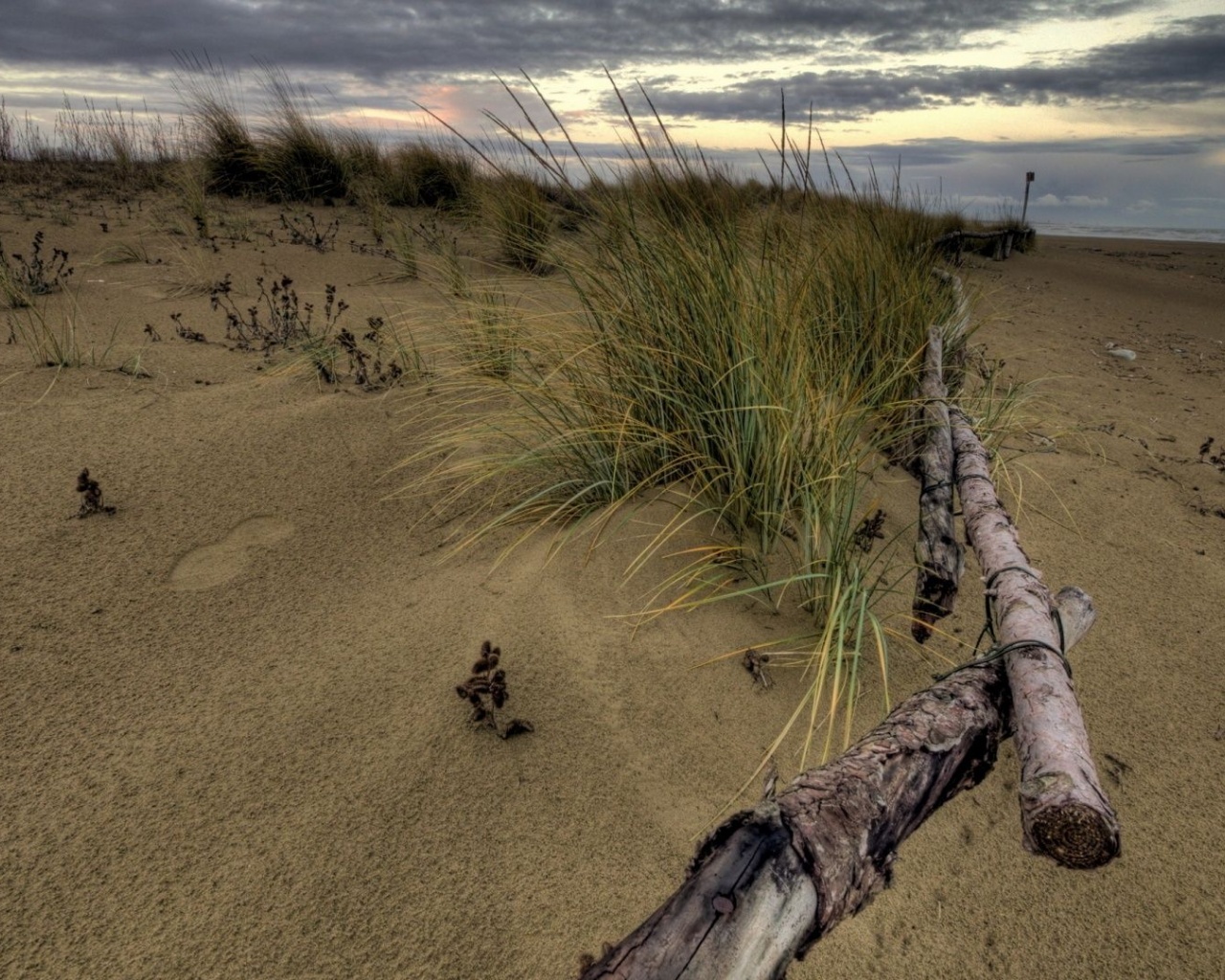 Beach Fence Nature Landscapes