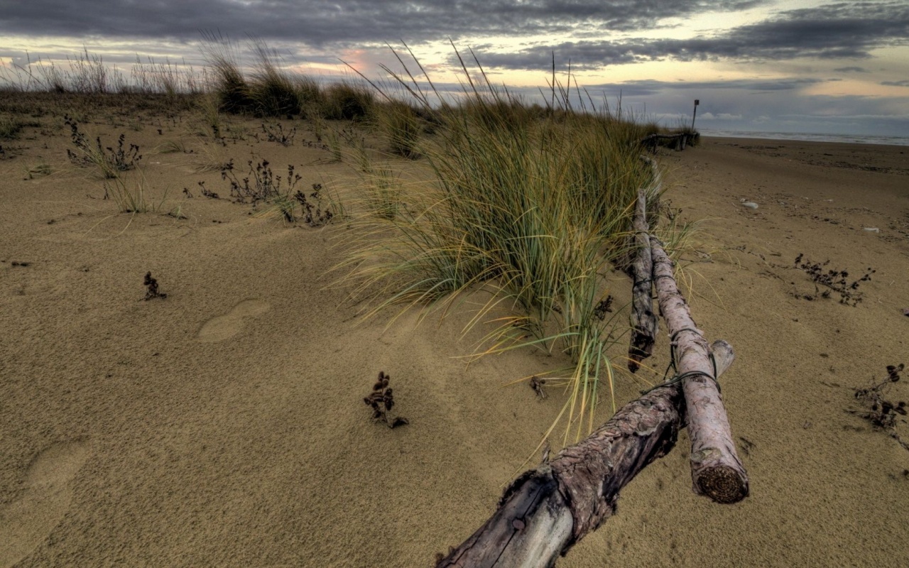 Beach Fence Nature Landscapes