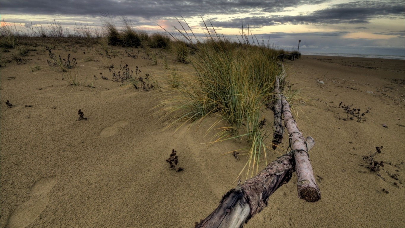 Beach Fence Nature Landscapes