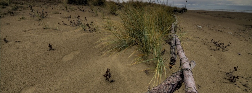 Beach Fence Nature Landscapes