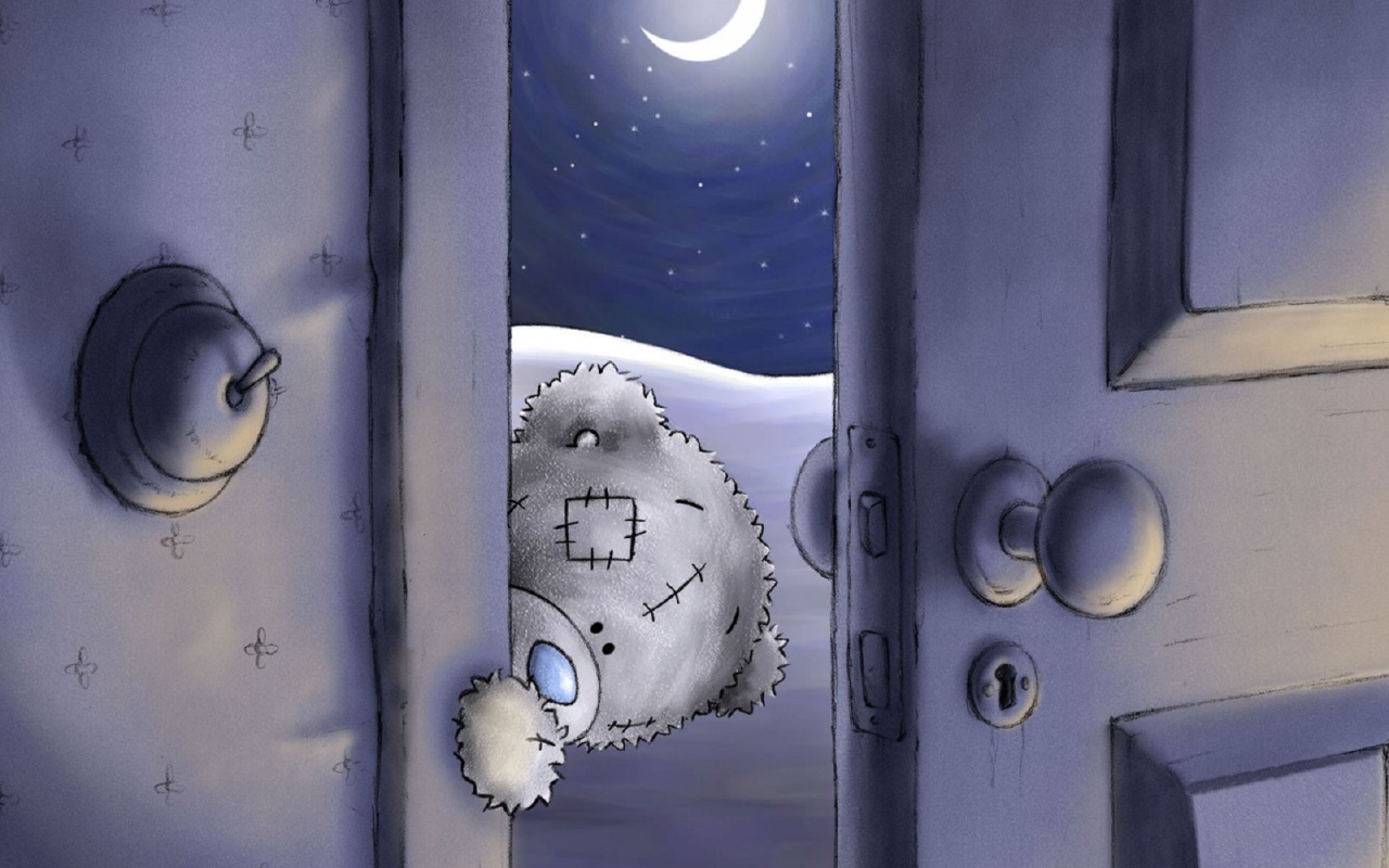 Bear Teddy Door Night Moon