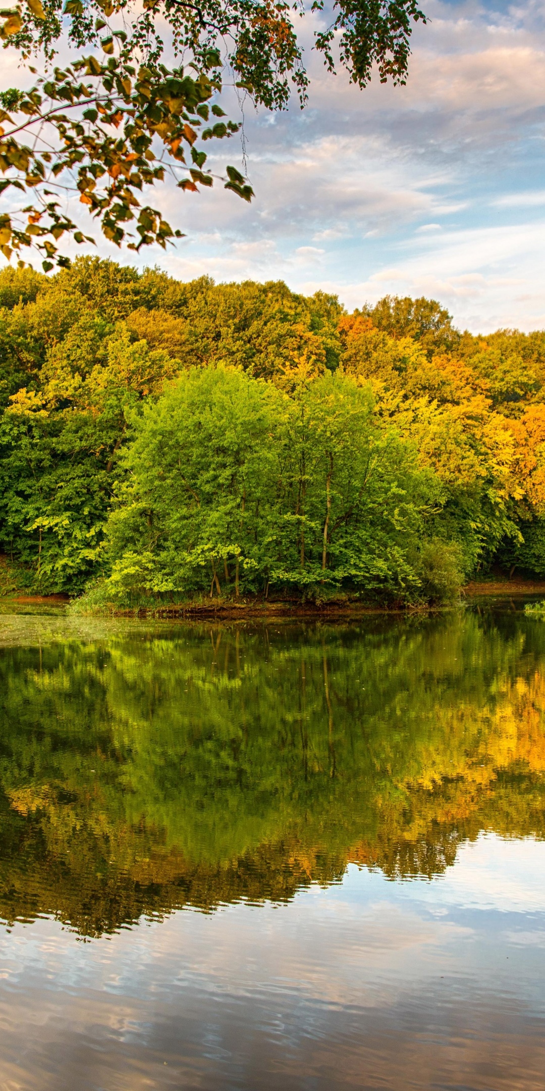 Beautiful Autumn Over The River