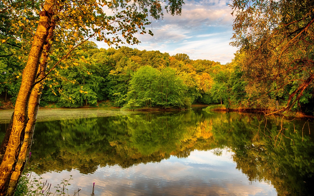 Beautiful Autumn Over The River