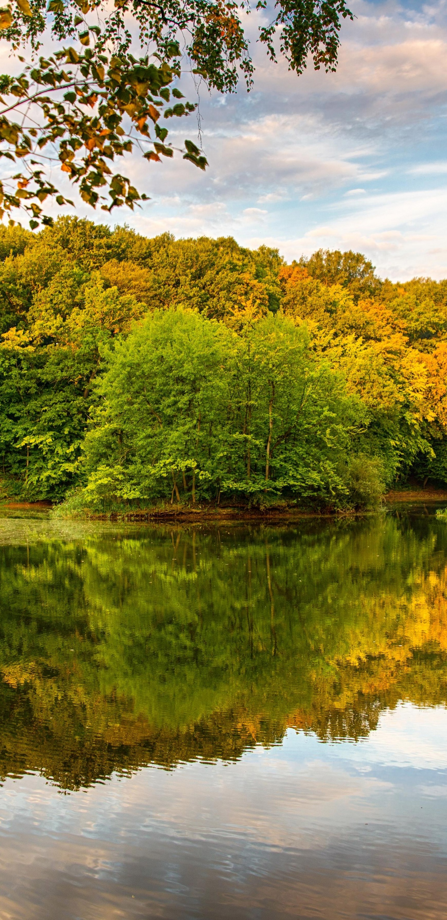 Beautiful Autumn Over The River