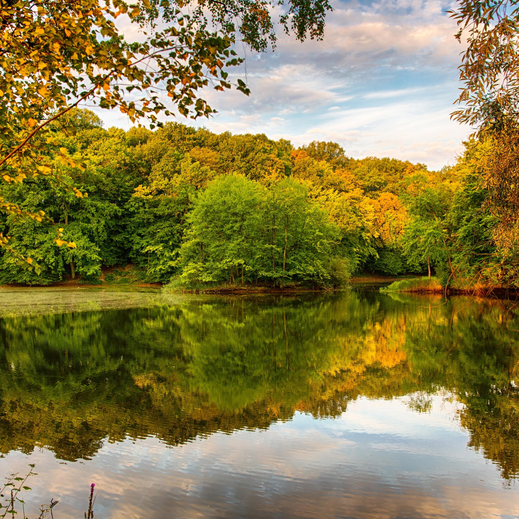 Beautiful Autumn Over The River