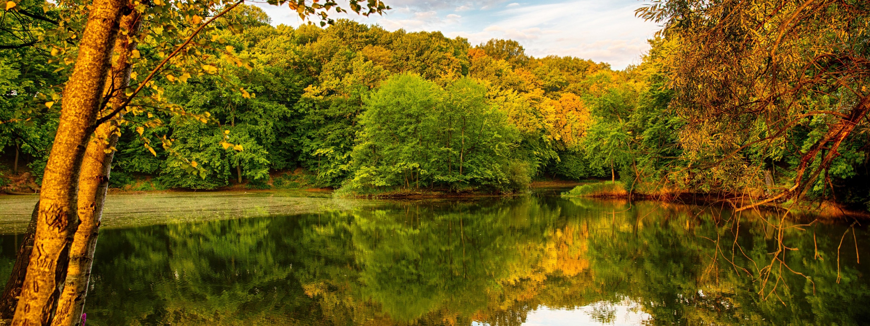 Beautiful Autumn Over The River