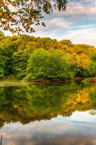 Beautiful Autumn Over The River