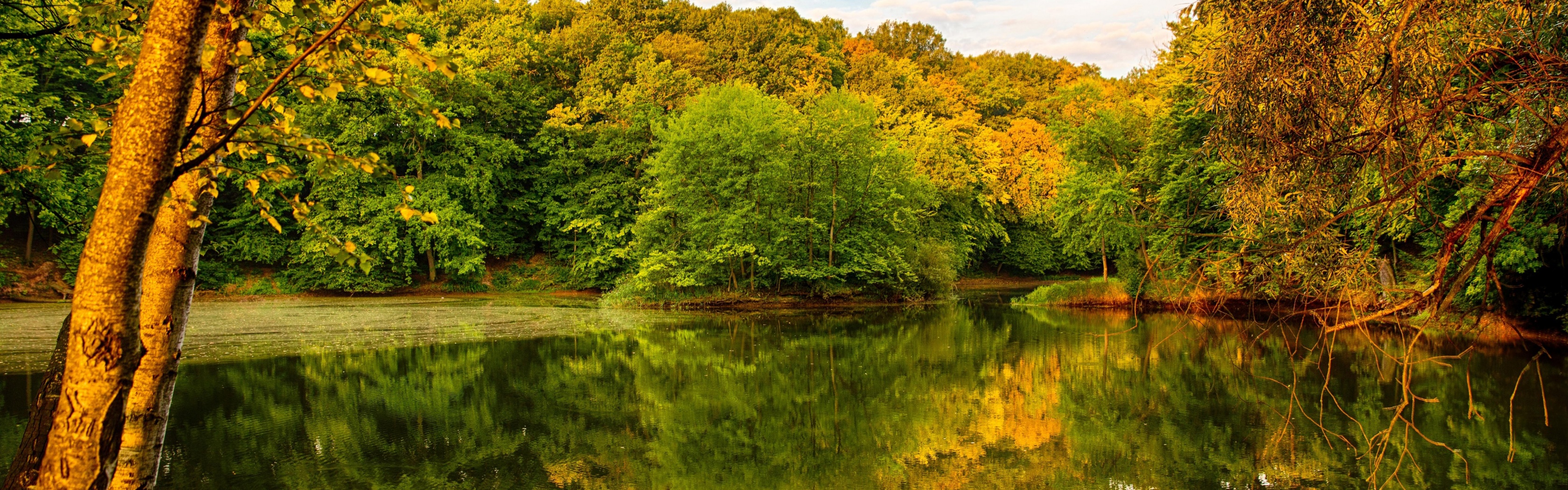 Beautiful Autumn Over The River