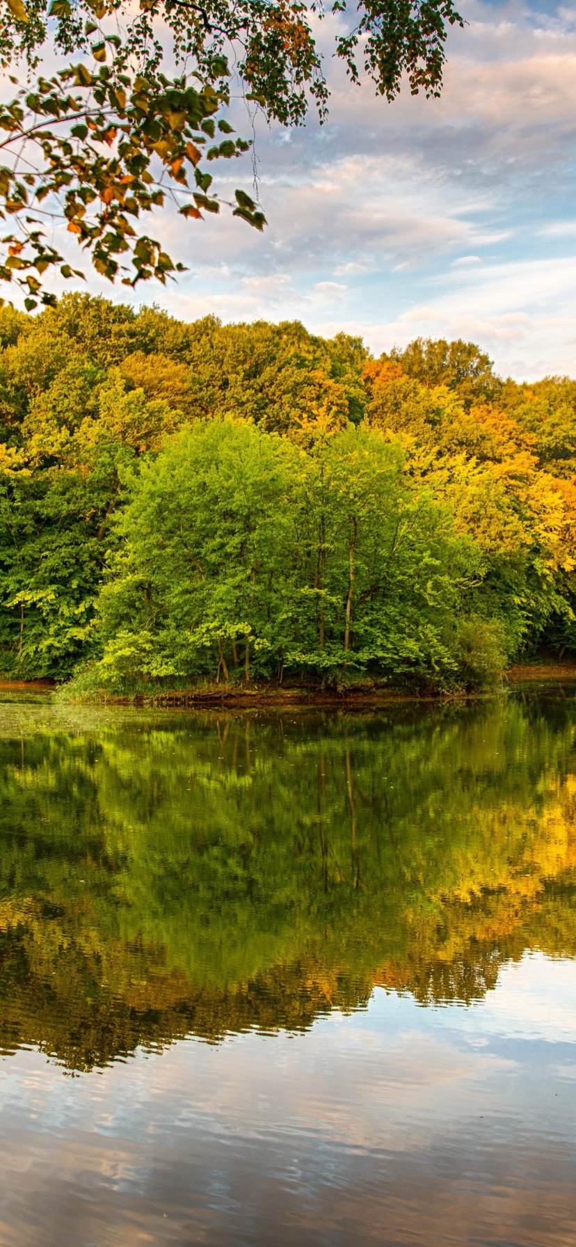 Beautiful Autumn Over The River