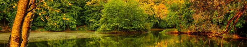 Beautiful Autumn Over The River