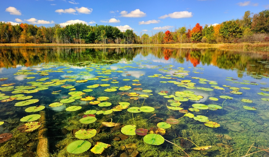 Beautiful Lake Scenery Autumn