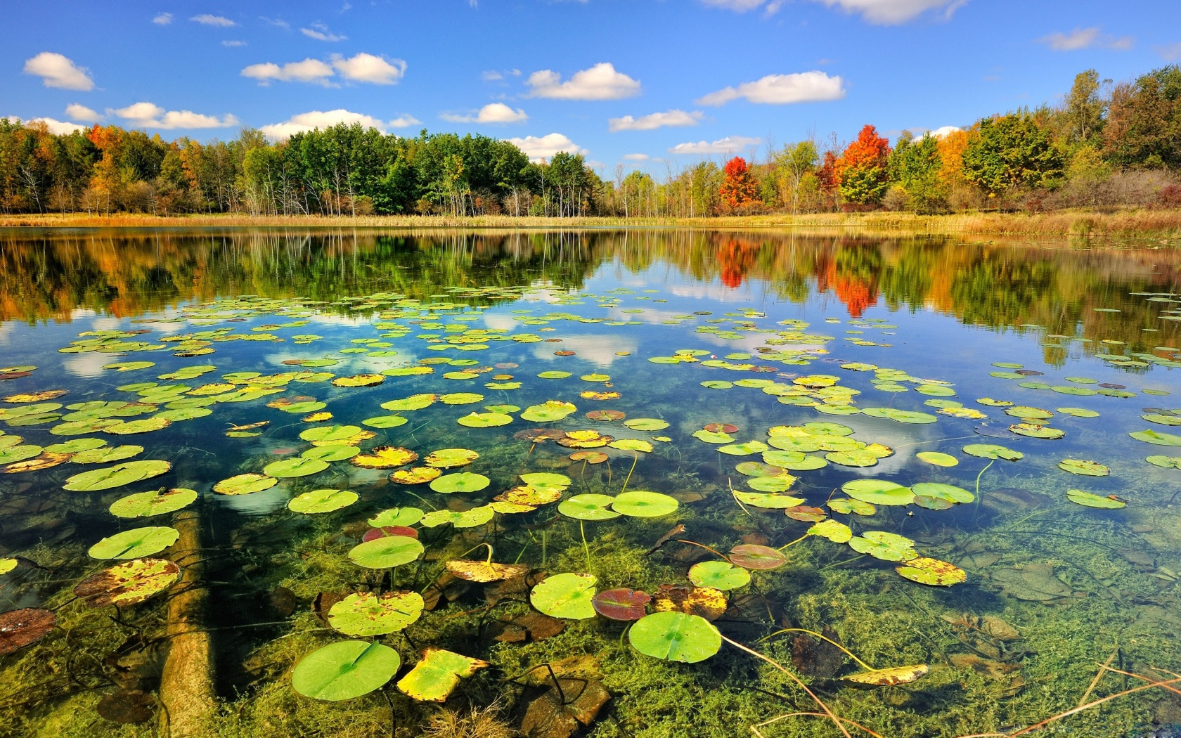 Beautiful Lake Scenery Autumn