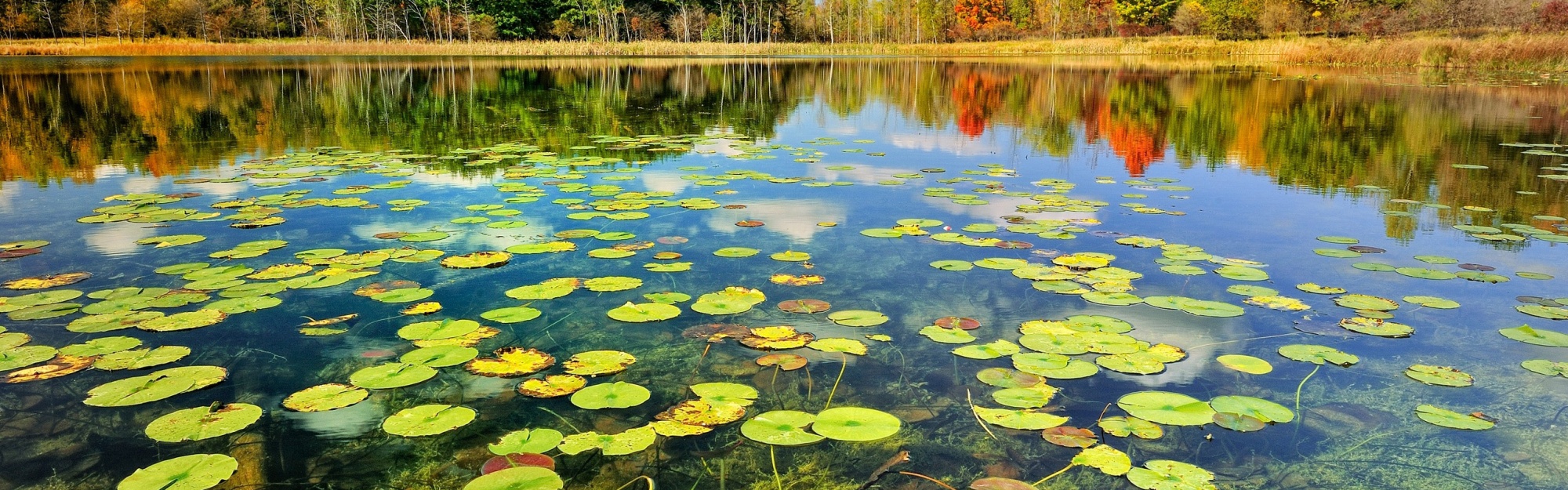 Beautiful Lake Scenery Autumn