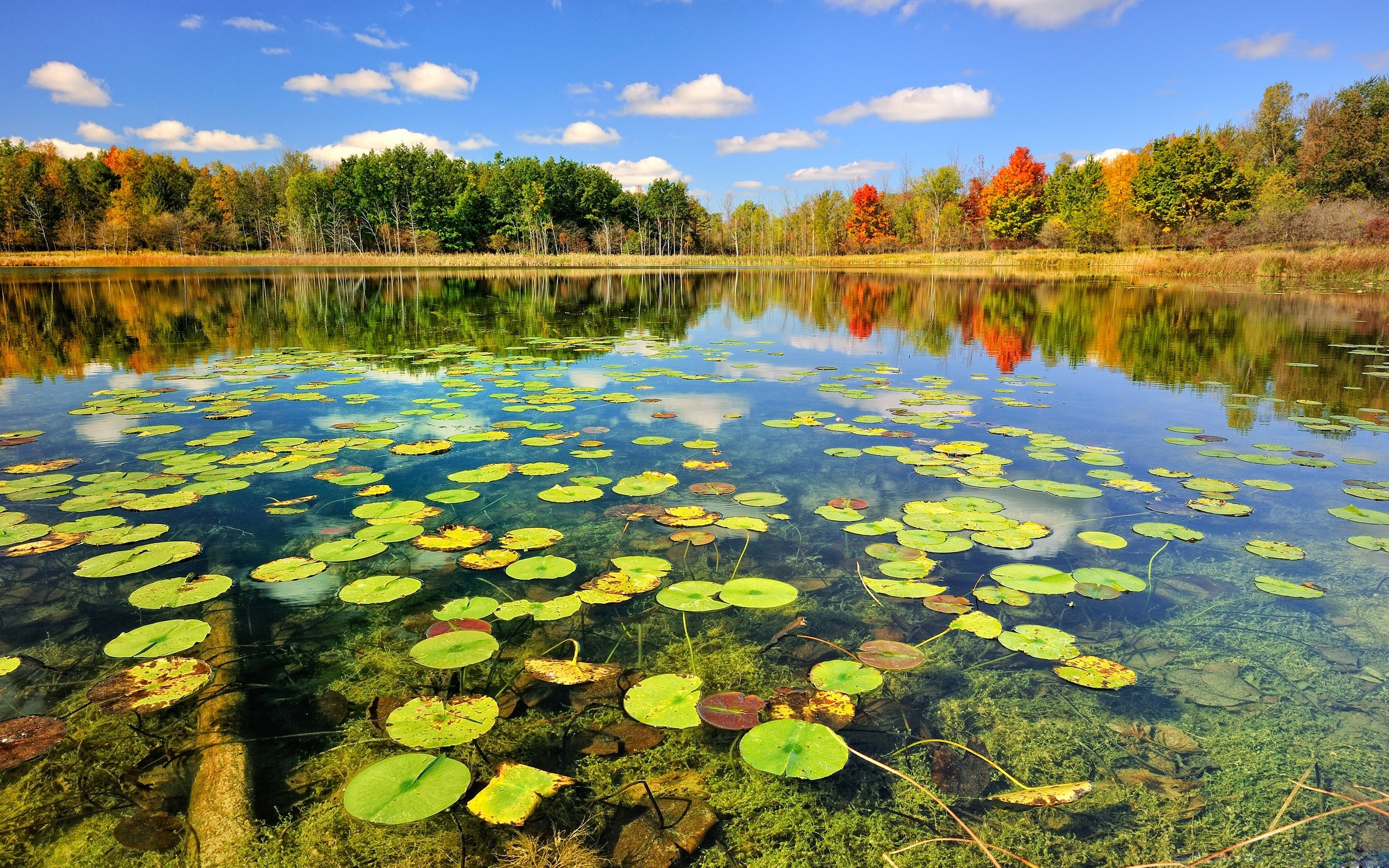 Beautiful Lake Scenery Autumn