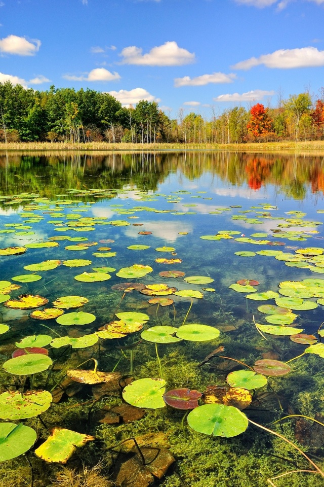 Beautiful Lake Scenery Autumn