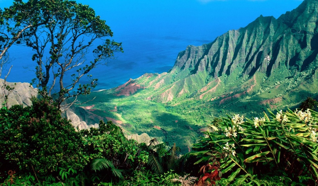 Beautiful Scenery Kauai Kalalau Valley Islands Hawaii United States World