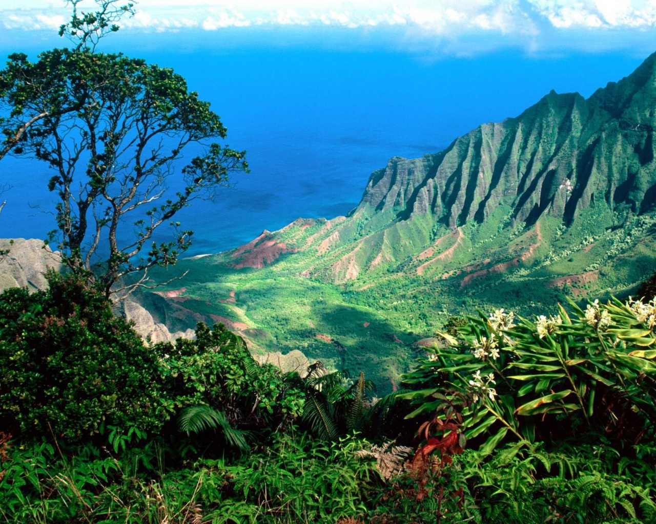 Beautiful Scenery Kauai Kalalau Valley Islands Hawaii United States World