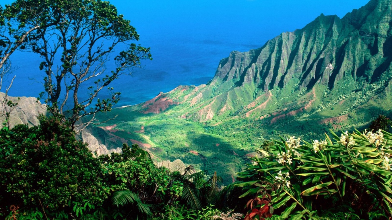 Beautiful Scenery Kauai Kalalau Valley Islands Hawaii United States World