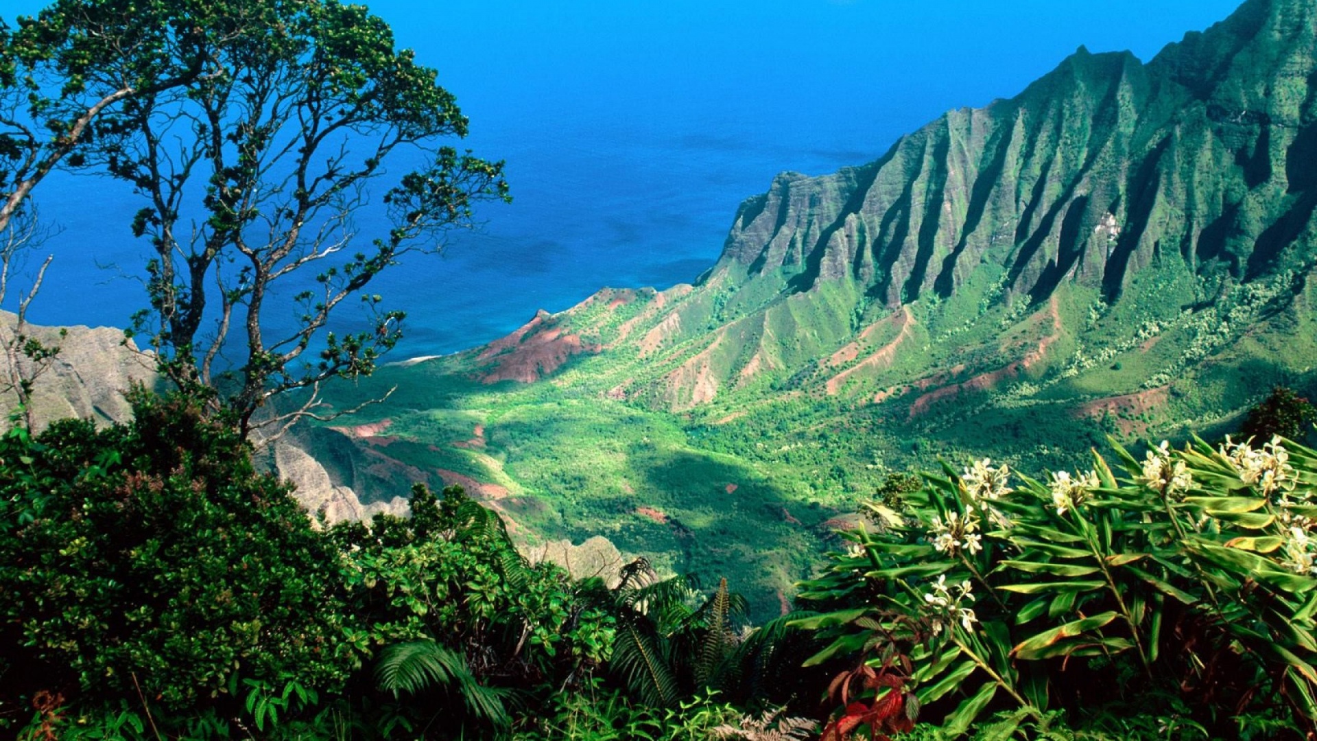 Beautiful Scenery Kauai Kalalau Valley Islands Hawaii United States World